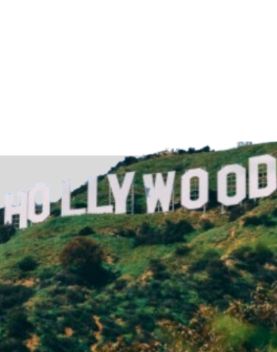 ladies leggings manufacturer